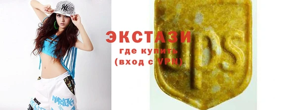 СК Богородицк