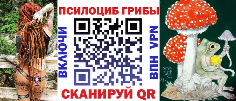 ссылка на мегу маркетплейс  Майкоп  Псилоцибиновые грибы прущие грибы  наркота 